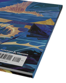 Dungeons & Dragons Heroes of Faerûn alternate cover book with unique Forgotten Realms artwork.