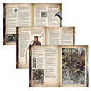 Deluxe Rulebook - Maladum