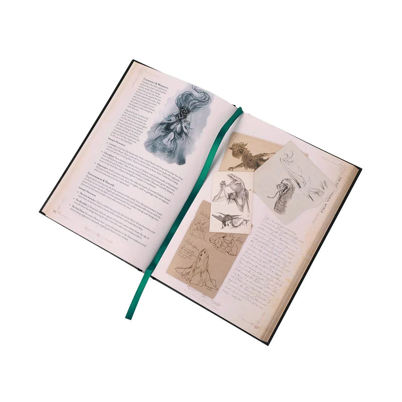 Open book with illustrations and text on a white background
