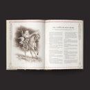 Open book with a black and white illustration of a warrior on horseback and text on a dark background
