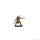 Icons of the Realms Miniatures: Epic Level Starter Set