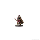 Icons of the Realms Miniatures: Epic Level Starter Set