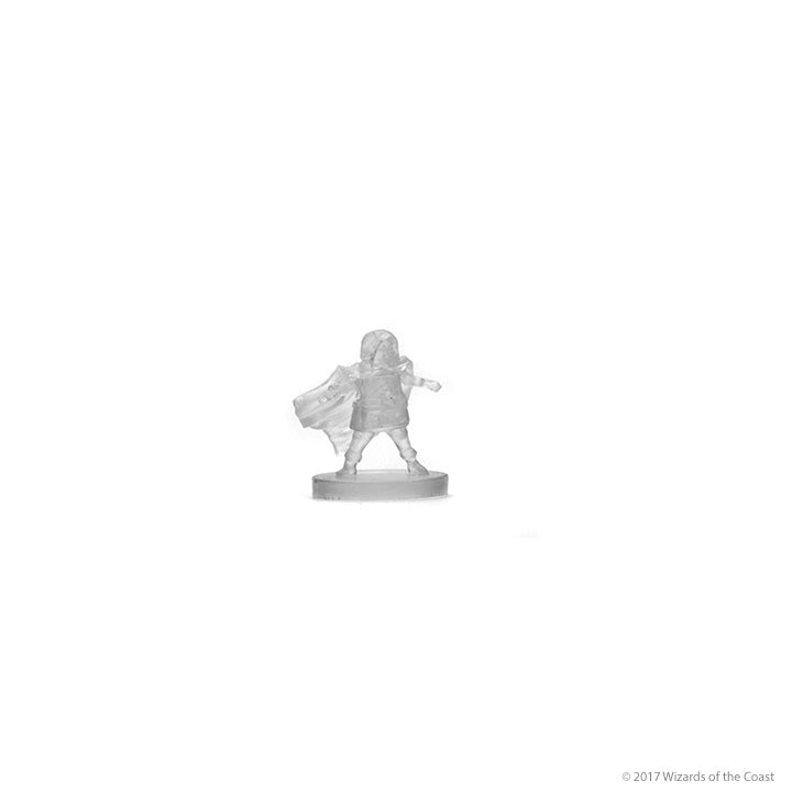 Icons of the Realms Miniatures: Epic Level Starter Set